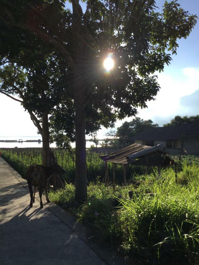 The Villa'S Kubu Sandan Kintamani Eksteriør bilde